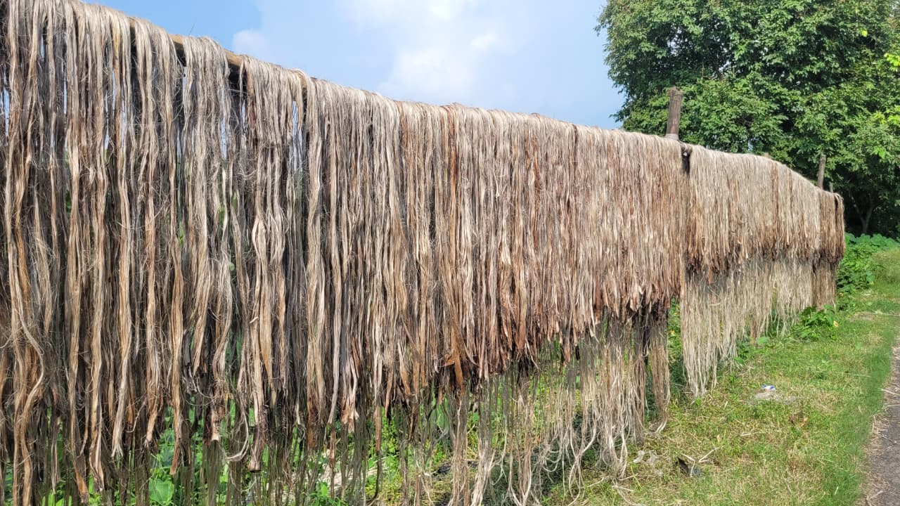 The Ocean Export and Import — premium jute bags from Kolkata to the world